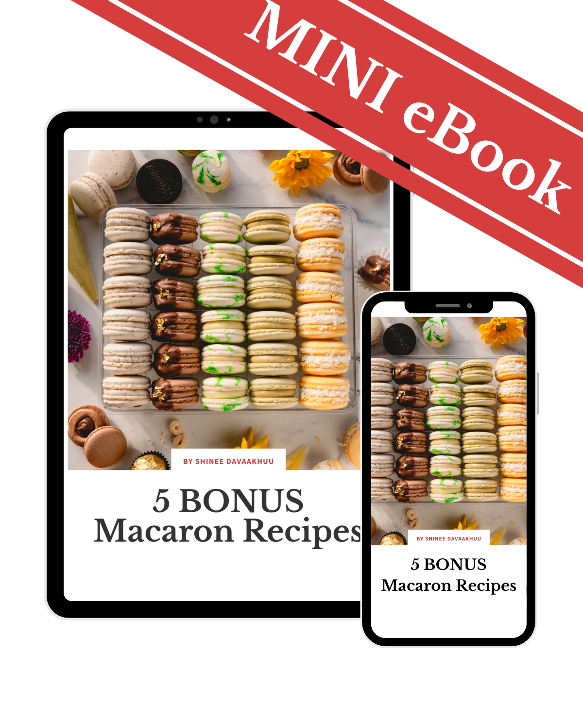 5 Bonus Macaron Recipes Mini eBOOK
