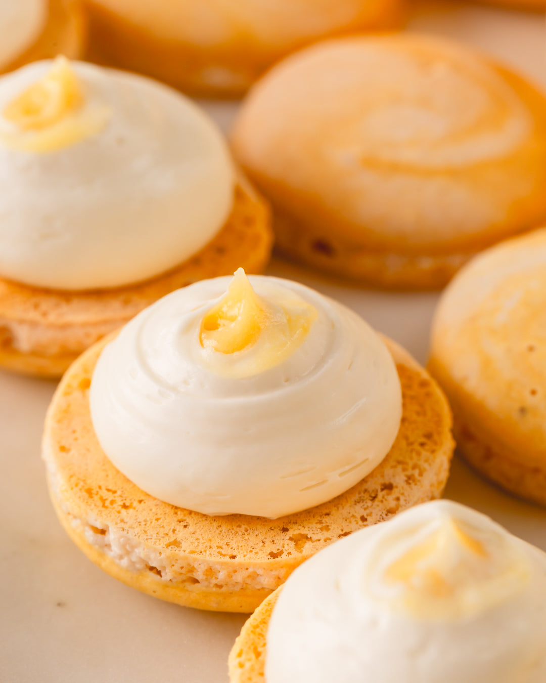 5 Bonus Macaron Recipes Mini eBOOK